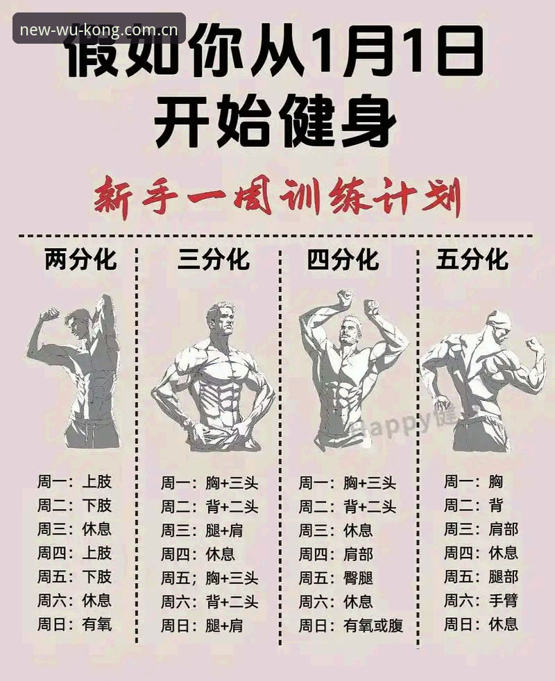 悟空体育使用教程官方下载 悟空体育使用教程官方下载全面解析:新手从零开始的完整操作指南