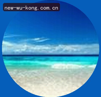 陈浩